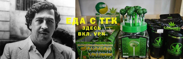 стафф Алзамай