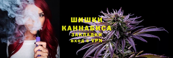 стафф Алзамай