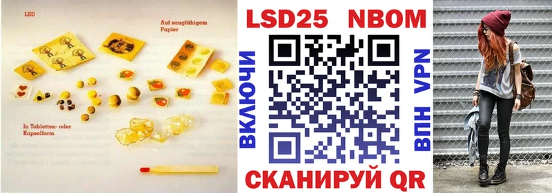 хочу наркоту  Нестеров  маркетплейс официальный сайт  LSD-25 экстази кислота 
